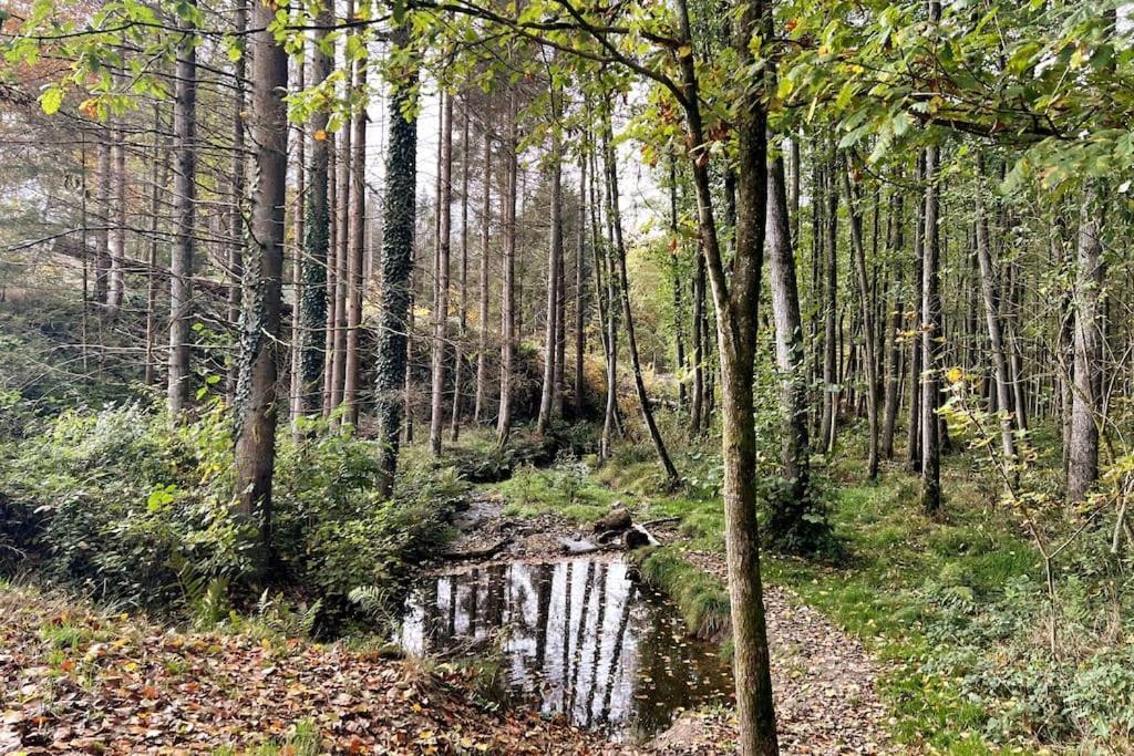 The Forest Retreat- Luxurioese Ferienwohnung Mit Privater Sauna Wermelskirchen Zewnętrze zdjęcie