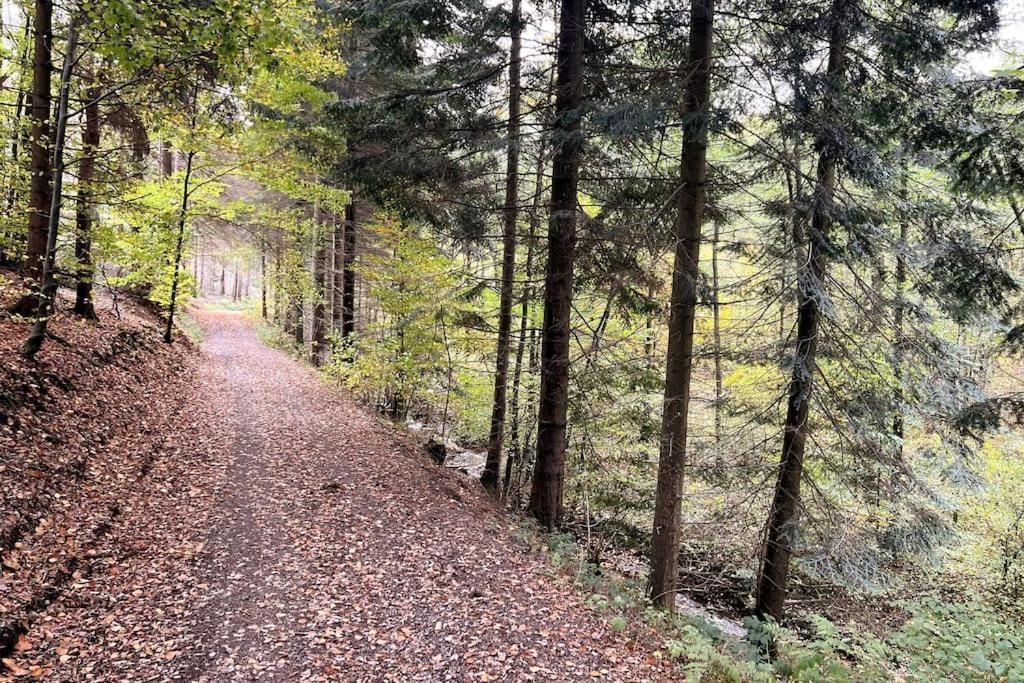 The Forest Retreat- Luxurioese Ferienwohnung Mit Privater Sauna Wermelskirchen Zewnętrze zdjęcie